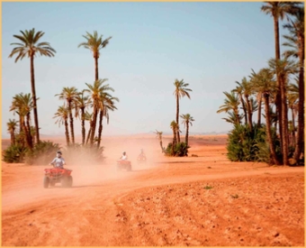 Marrakech quad and buggy