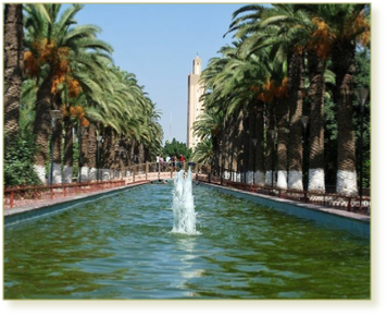 2 days 1 night tour from Agadir to Zagora