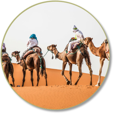 5 days tour from Fes to Merzouga and Marrakech