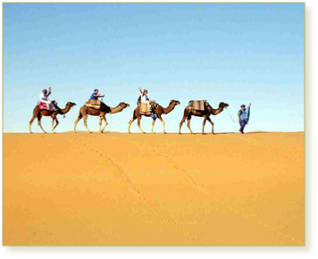 Ouarzazate to Desert Tours