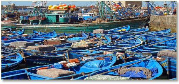 Marrakech Day trip to Essaouira