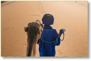 EXPERT GUIDES in Morocco