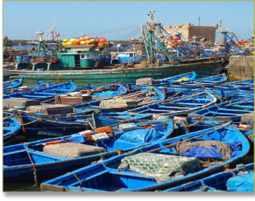 Marrakech Day trip to Essaouira