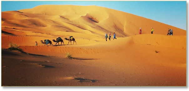 Desert Tours from Agadir